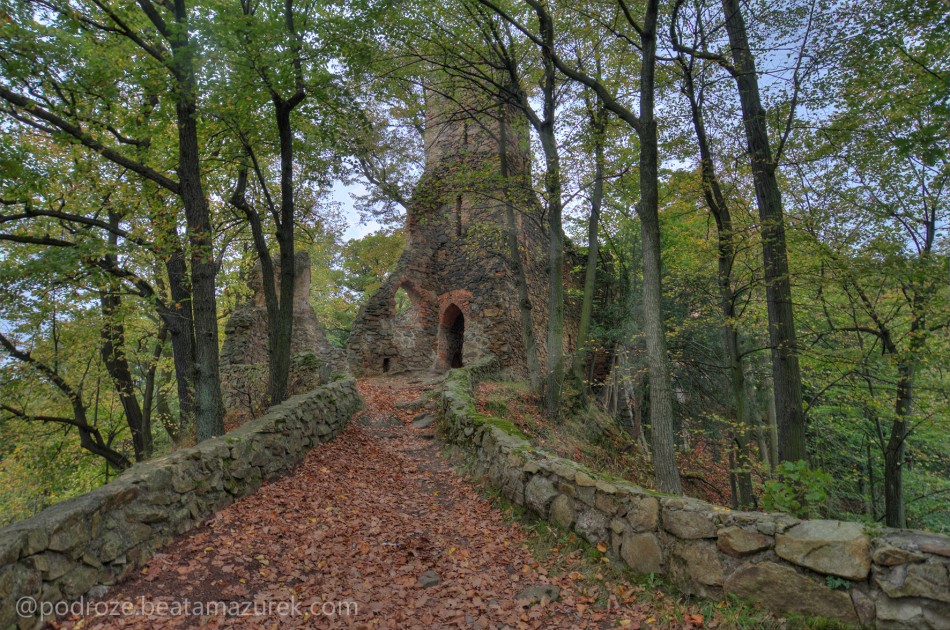 Ruiny Zamku Stary Ksiaz 10